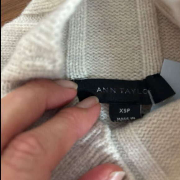 ANN TAYLOR MOCK NECK SEAM POINTELLE SLEEVE IVORY OATMEAL SWEATER NEW XS P - Picture 6 of 7